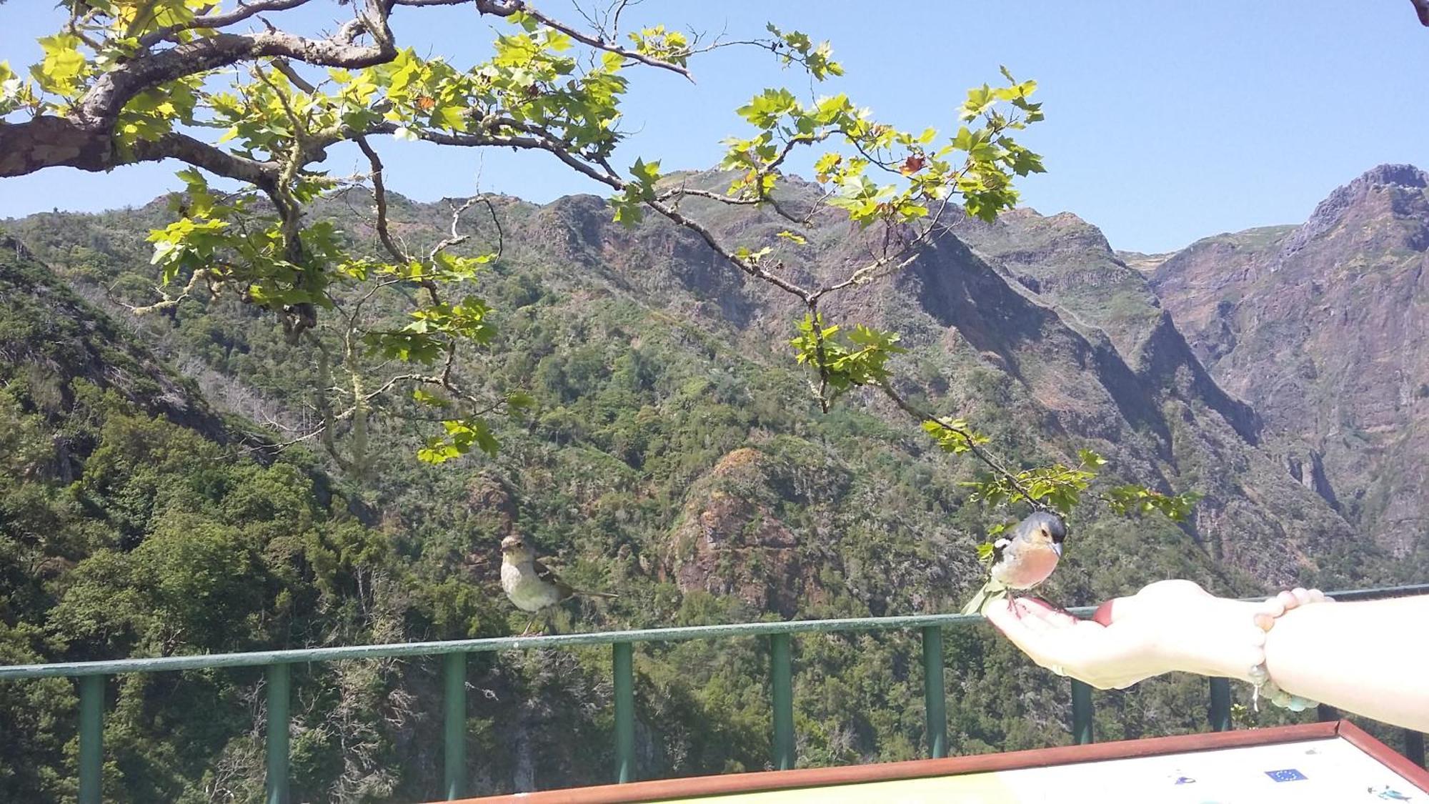 Casa Shalom Villa São Roque do Faial Kültér fotó