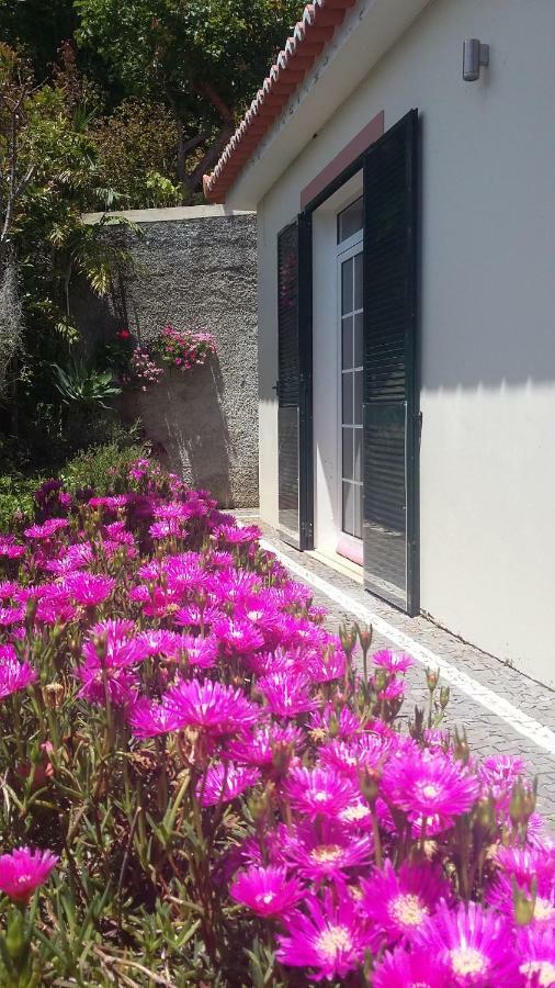 Casa Shalom Villa São Roque do Faial Kültér fotó